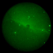 Horsehead Nebula by John Paladini using 10 inch Coulter scope.